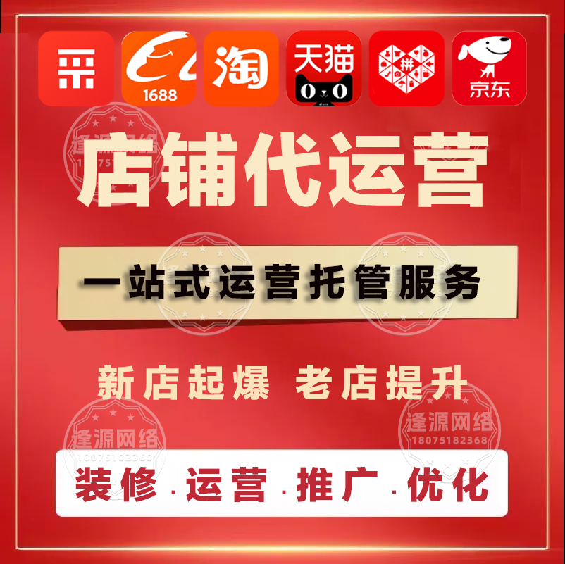 电商代运营 vs 自建团队:成本与效果的终极对比